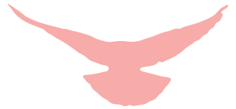 安徽省直机关书画家协会召开主席团会议(图3) 图片