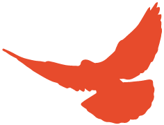 安徽省直机关书画家协会召开主席团会议(图4) 图片