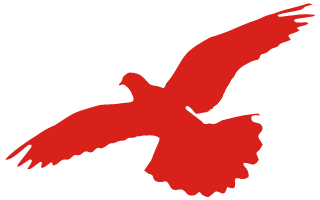 安徽省直机关书画家协会召开主席团会议(图2) 图片