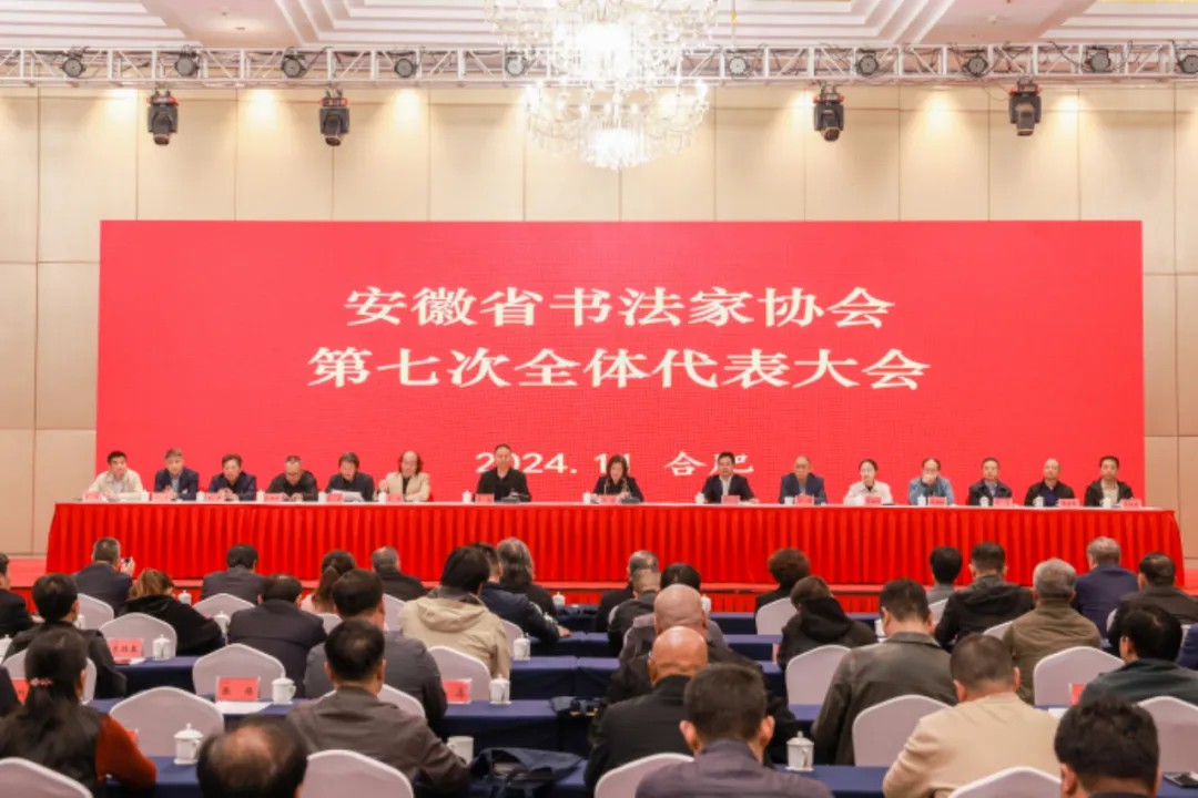 省书法家协会第七次代表大会在合肥召开李明当选第七届主席团主席(图2) 640 (13).jpg