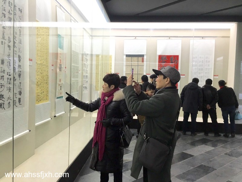 安徽省第十四届书法新人新作展在合肥开展(图5)