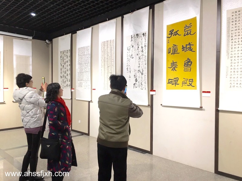 安徽省第十四届书法新人新作展在合肥开展(图6)