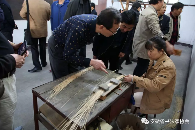 省书协召开第六届理事会第二次会议暨首期省书协会员培训班(图19)