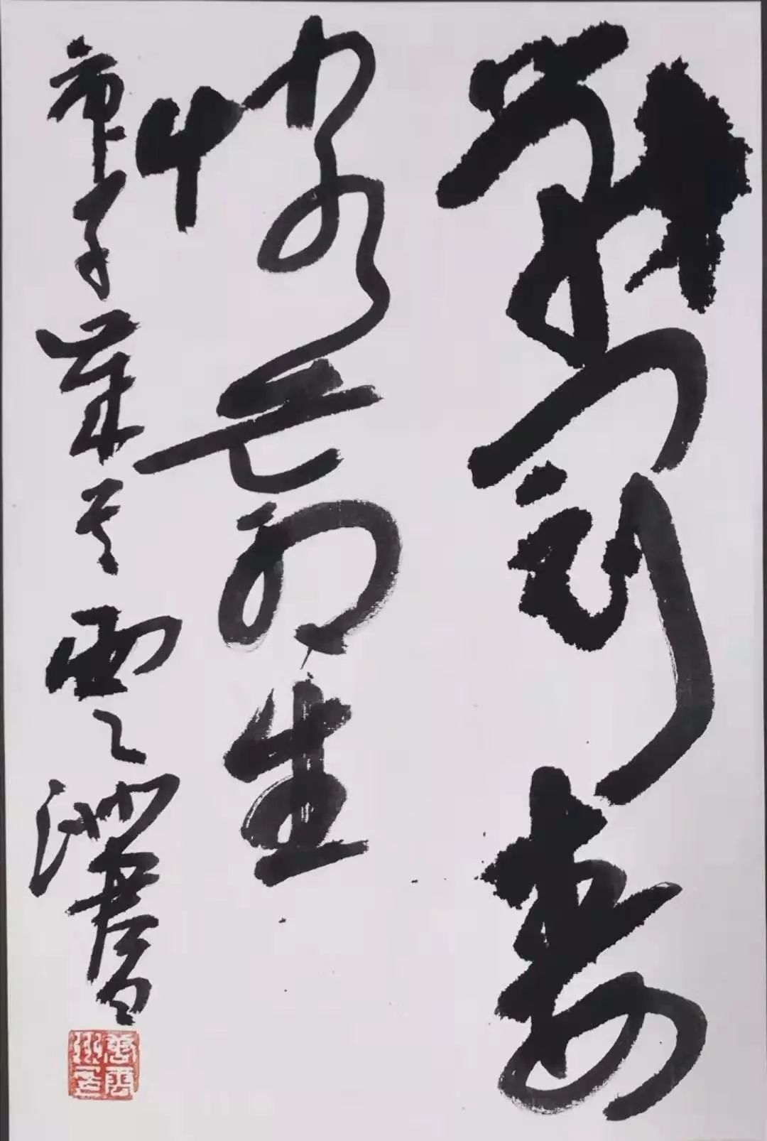 笔墨含深情，书法聚人心——安徽省各市书协在行动(图240)