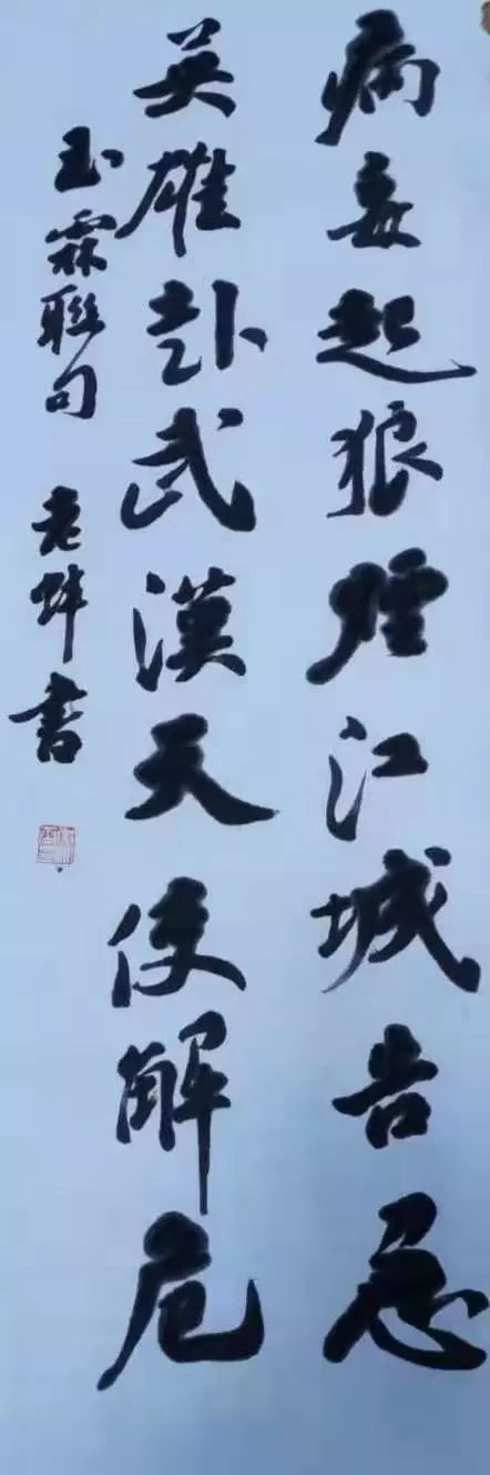 笔墨含深情，书法聚人心——安徽省各市书协在行动(图244)