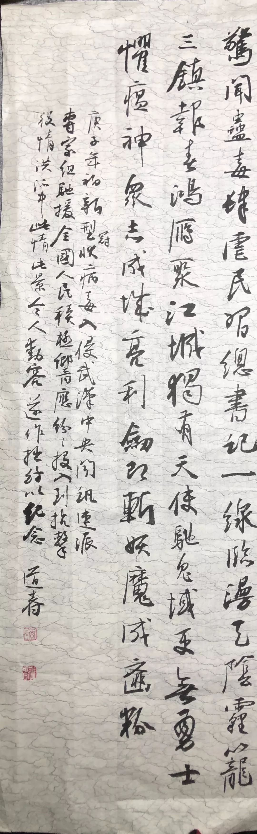 笔墨含深情，书法聚人心——安徽省各市书协在行动(图246)