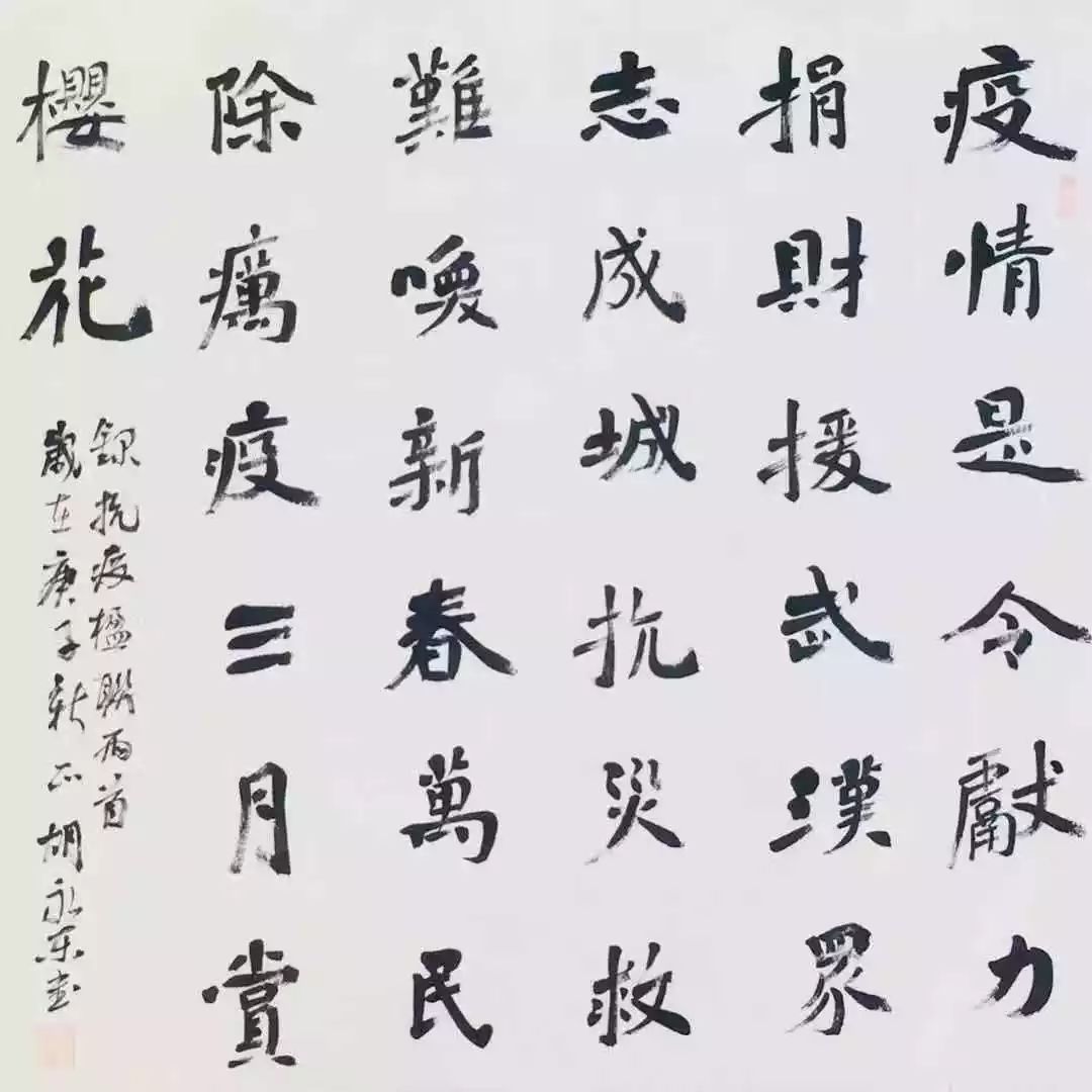 笔墨含深情，书法聚人心——安徽省各市书协在行动(图249)