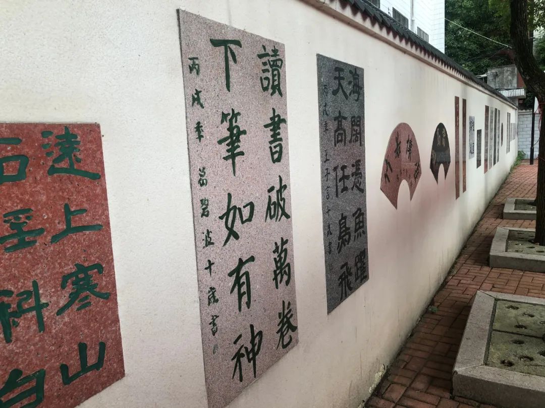 文艺进万家 健康你我他 | 省书协赴池州志愿服务活动(图5)