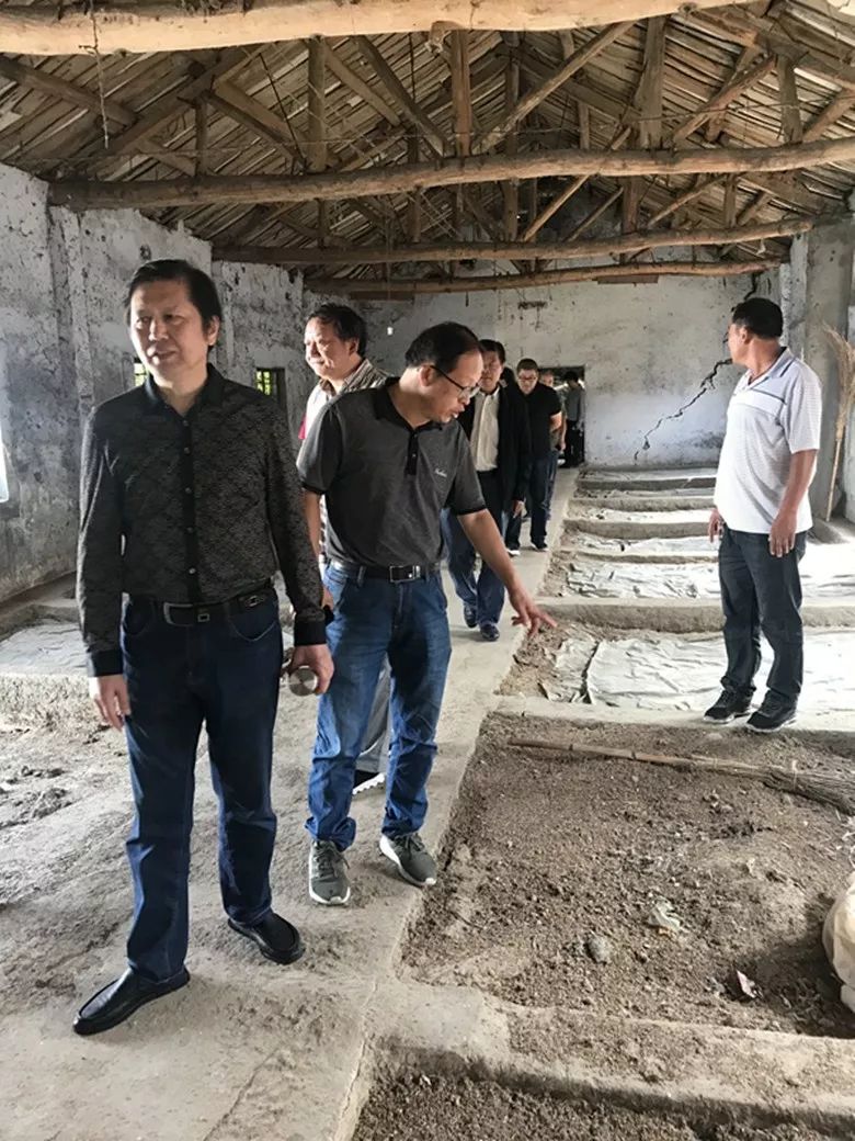 省书协赴太和县旧县镇大张村开展文艺志愿服务活动​(图4)