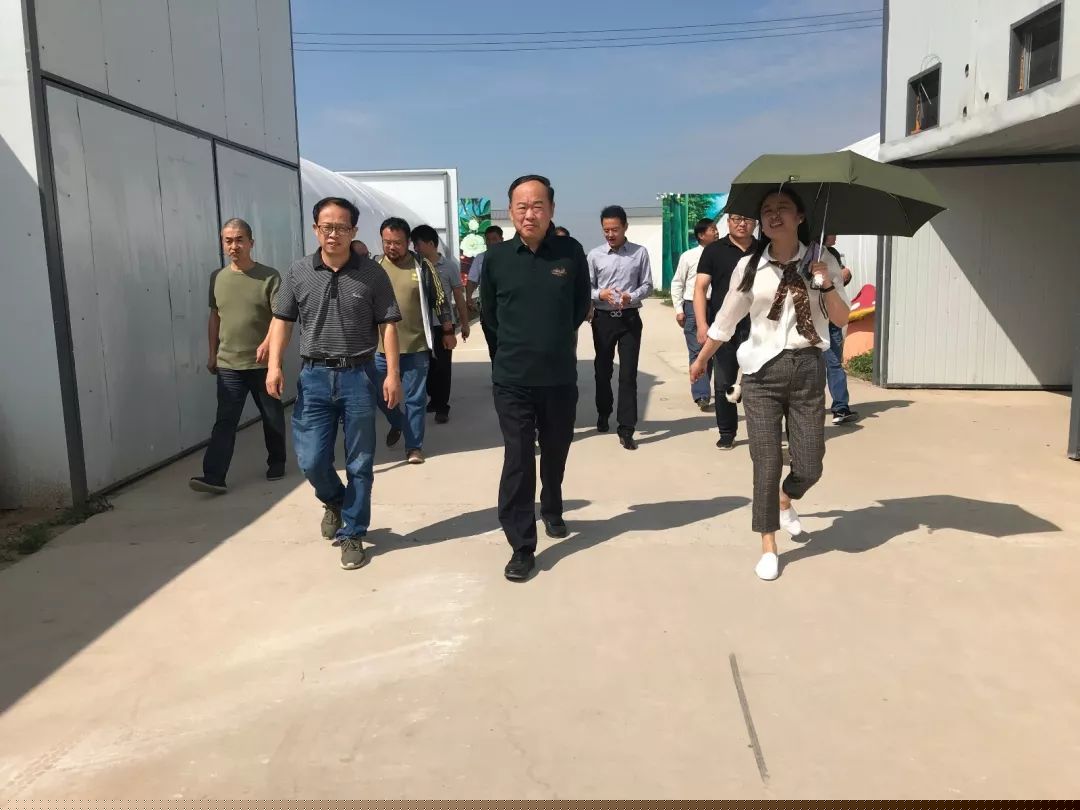 省书协赴太和县旧县镇大张村开展文艺志愿服务活动​(图5)
