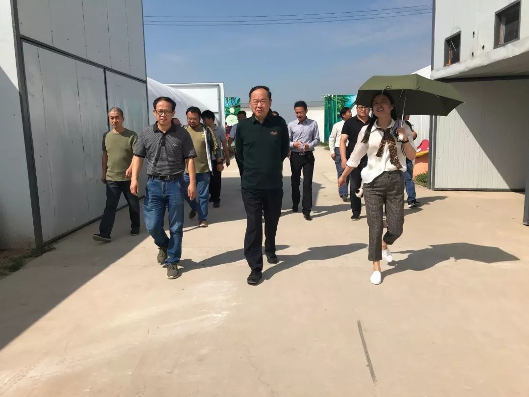 省书协赴太和县旧县镇大张村开展文艺志愿服务活动​(图5)