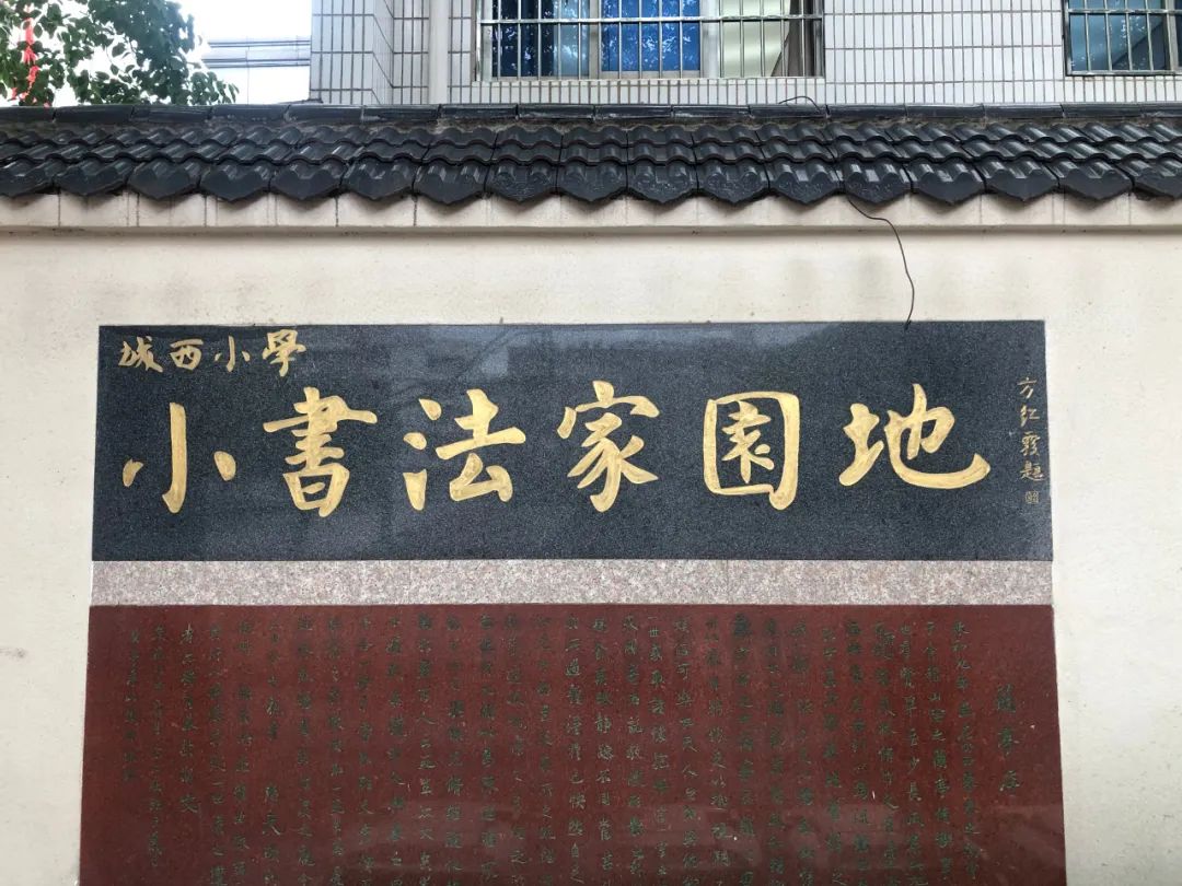 文艺进万家 健康你我他 | 省书协赴池州志愿服务活动(图4)