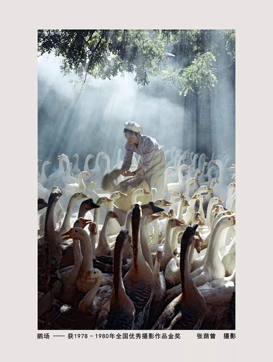 “光阴织梦绘华章——滁州市庆祝新中国成立70周年摄影书画作品展”开幕(图19)