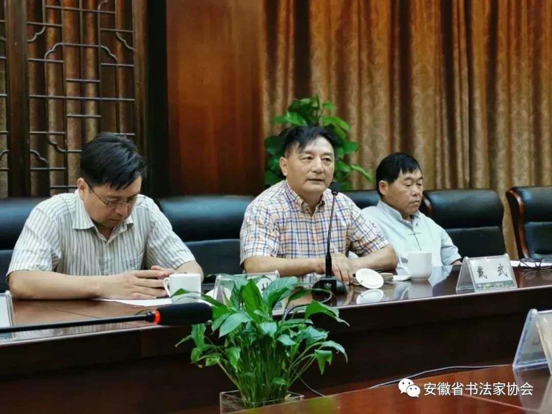 省书协篆刻艺术专业委员会工作会议暨骨干作者看稿会在肥召开(图7)