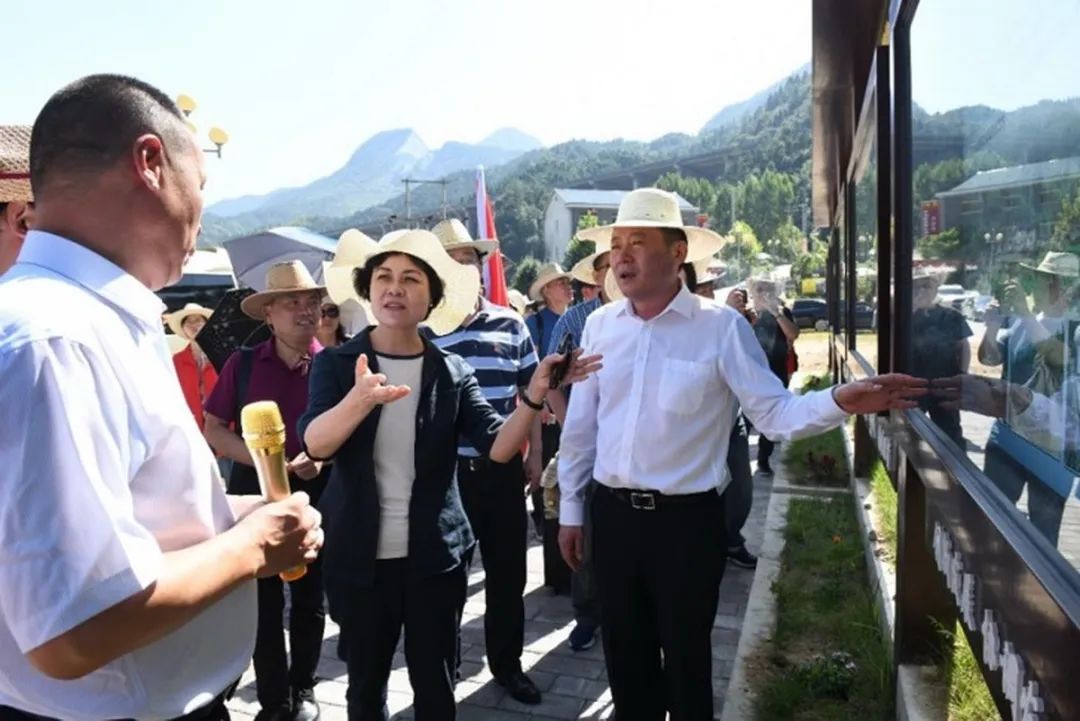 迎接安徽省文联第七次代表大会│安徽文艺事业这五年(图5)