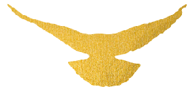 迎接安徽省文联第七次代表大会│安徽文艺事业这五年(图58)