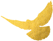 迎接安徽省文联第七次代表大会│安徽文艺事业这五年(图59)