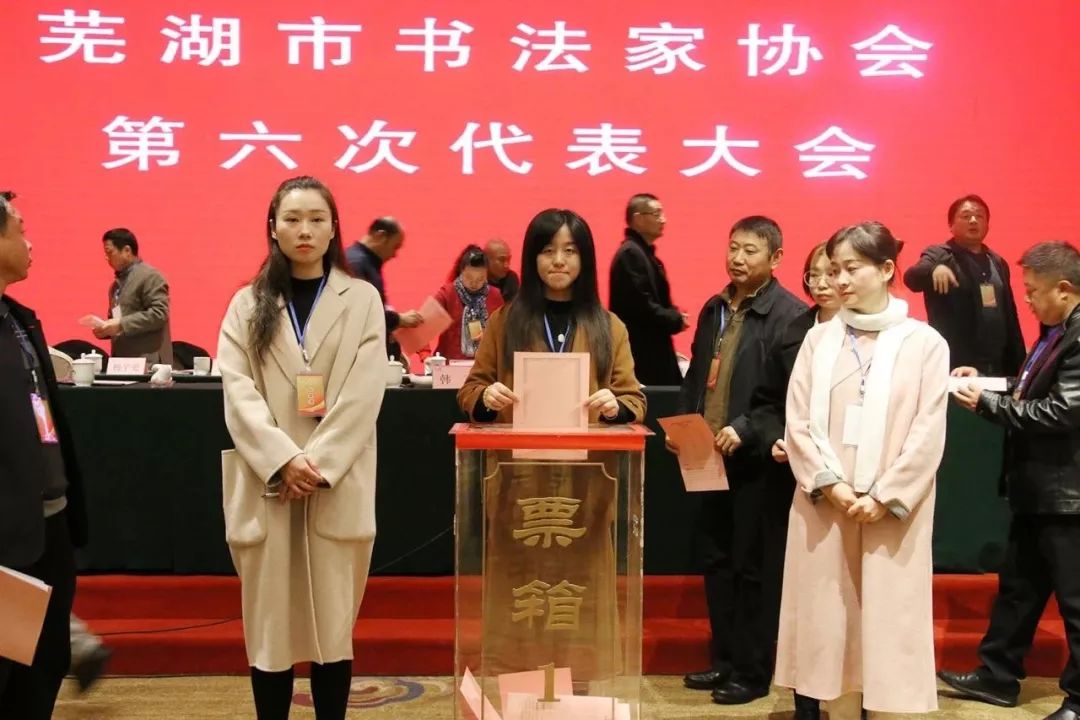 芜湖市书协召开第六次代表大会(图4)