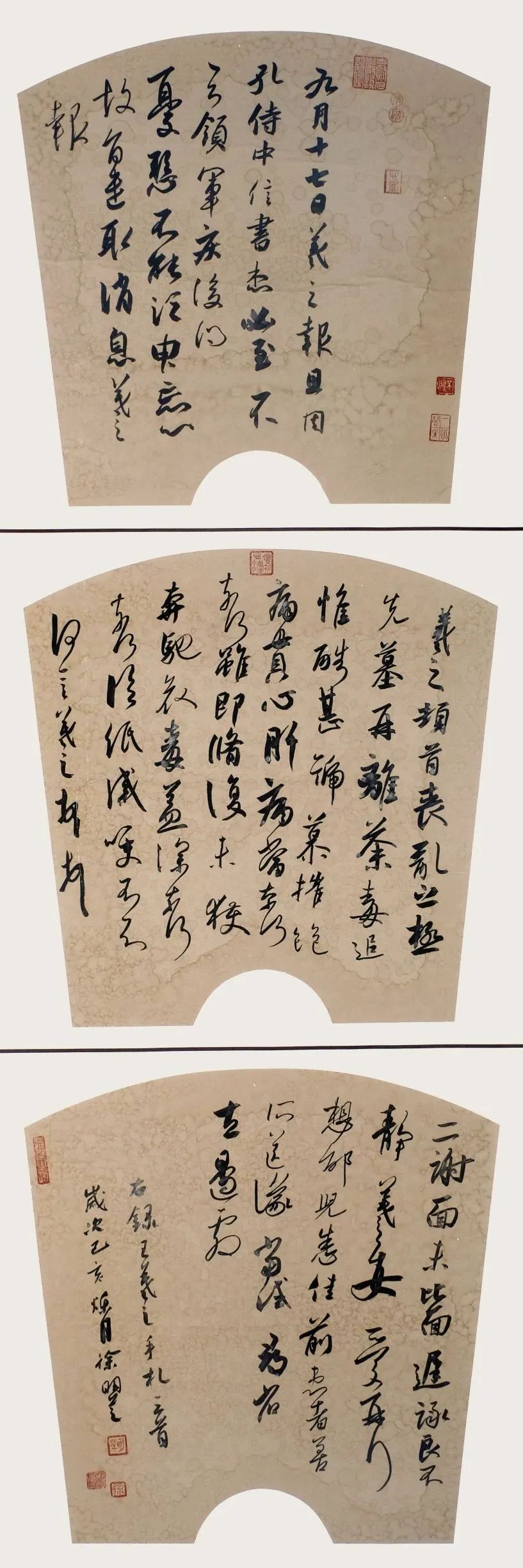 合肥市包河区书法家协会向包河区文化馆捐赠书法作品(图9) 合肥市包河区书法家协会向包河区文化馆捐赠书法作品(图9)