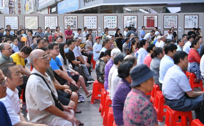 “理论+艺术”主题宣传活动在合肥启动(图14)