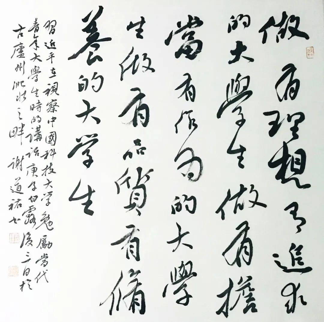 “理论+艺术”主题宣传活动在合肥启动(图21)