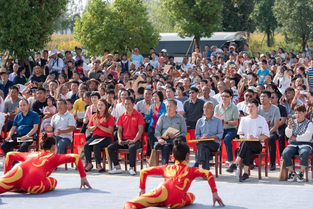 艺路同心丨“庆丰收 迎小康 —— 到人民中去” 省文联文艺志愿服务活动走进临泉杨桥(图2)