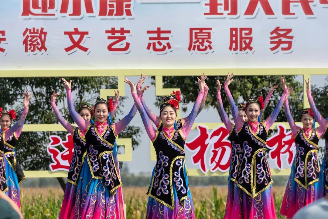 艺路同心丨“庆丰收 迎小康 —— 到人民中去” 省文联文艺志愿服务活动走进临泉杨桥(图4)