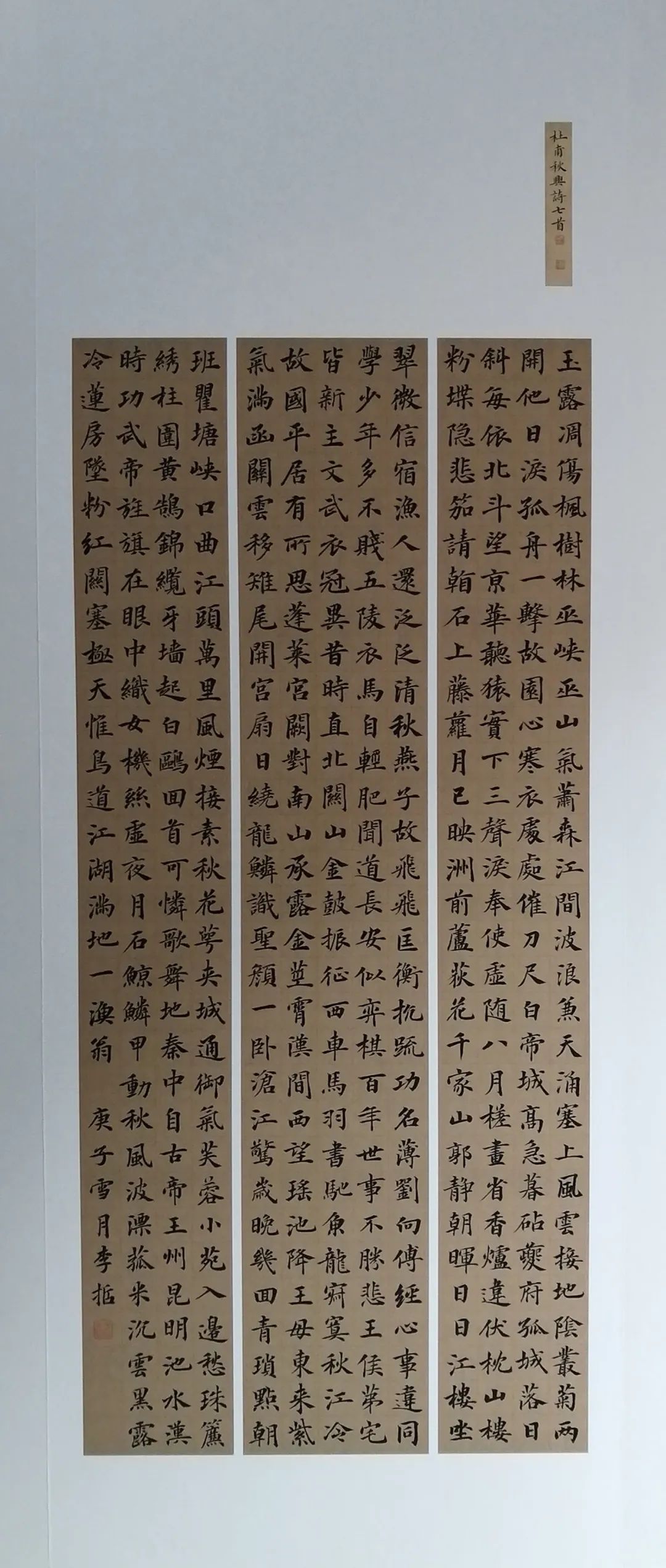 庆祝地级亳州市建市二十周年 | “梦追晋唐 —— 李哲书法作品展”在亳州开展(图13) 图片