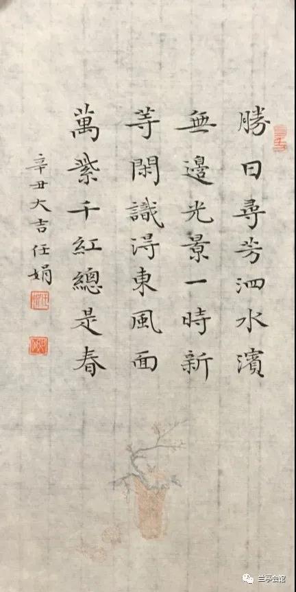 安徽省书协楷书委员会“楷写新春”贺岁微展(图39)