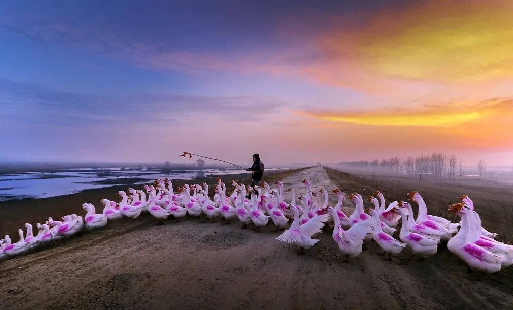 “携手共圆小康梦”书画摄影展在合肥开幕(图59) 图片