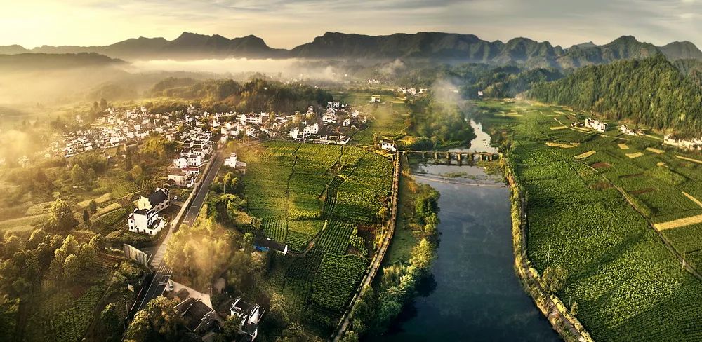 “携手共圆小康梦”书画摄影展在合肥开幕(图57) 图片