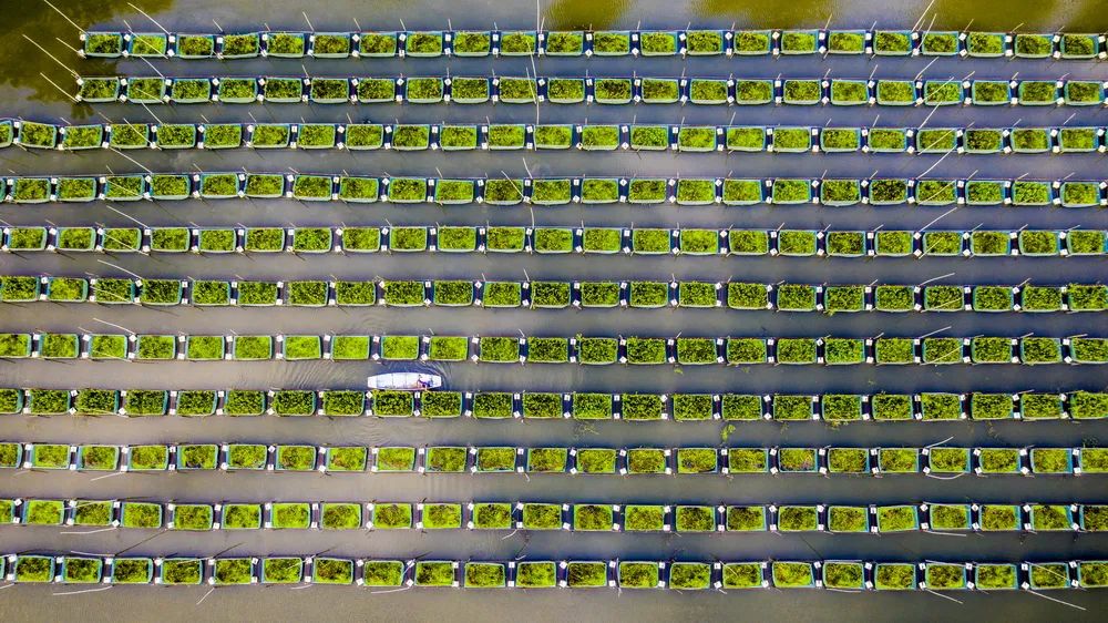 “携手共圆小康梦”书画摄影展在合肥开幕(图61) 图片