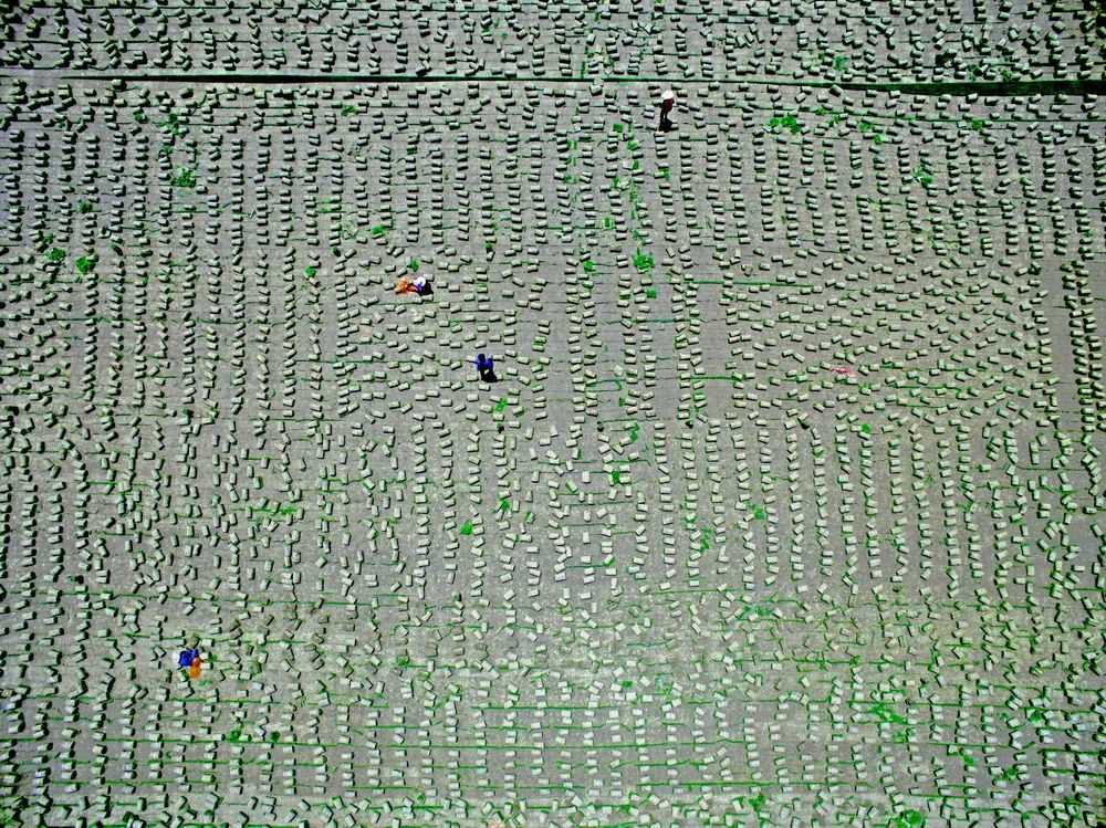 “携手共圆小康梦”书画摄影展在合肥开幕(图60) 图片