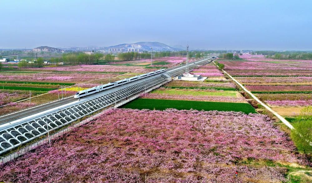 “携手共圆小康梦”书画摄影展在合肥开幕(图64) 图片