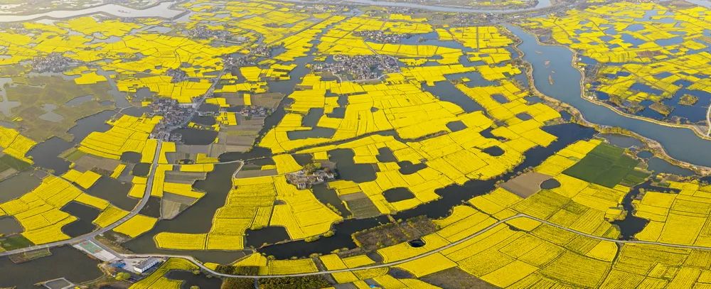 “携手共圆小康梦”书画摄影展在合肥开幕(图63) 图片