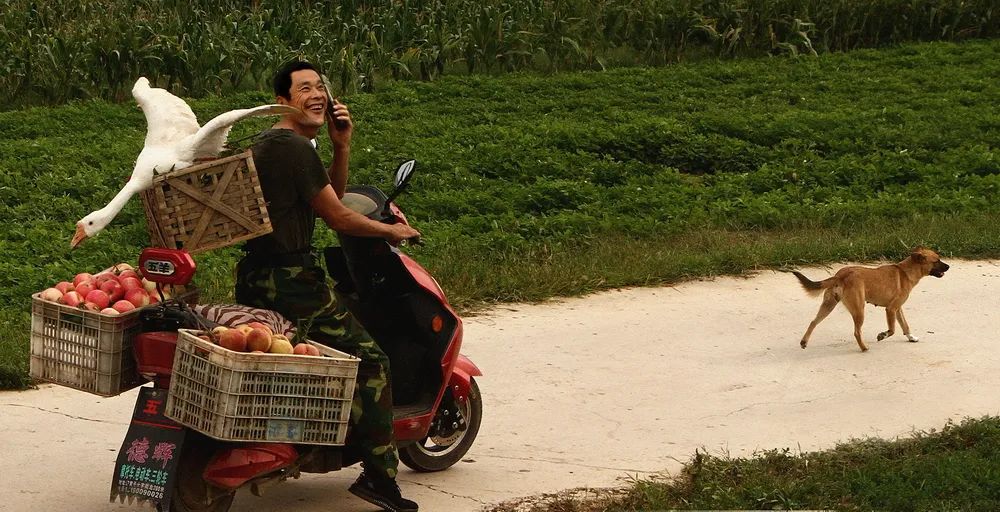 “携手共圆小康梦”书画摄影展在合肥开幕(图68) 图片