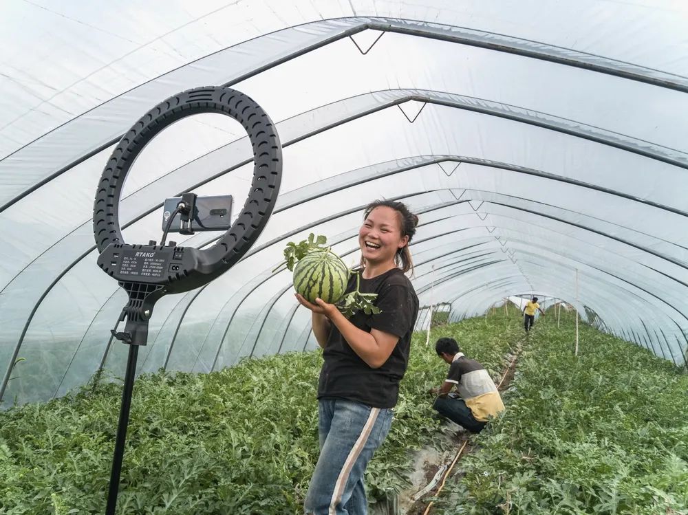 “携手共圆小康梦”书画摄影展在合肥开幕(图66) 图片