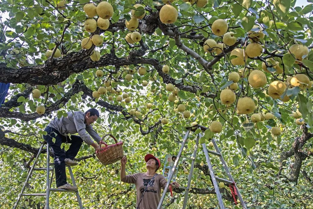“携手共圆小康梦”书画摄影展在合肥开幕(图67) 图片