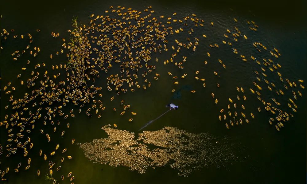 “携手共圆小康梦”书画摄影展在合肥开幕(图69) 图片