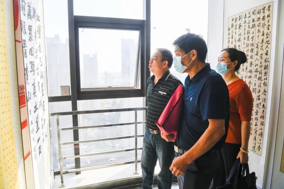 书坛动态 | 合肥市首届隶书大展、寿县包河书法联展、省书协隶书专业委员会公益大讲堂相继举办(图16)