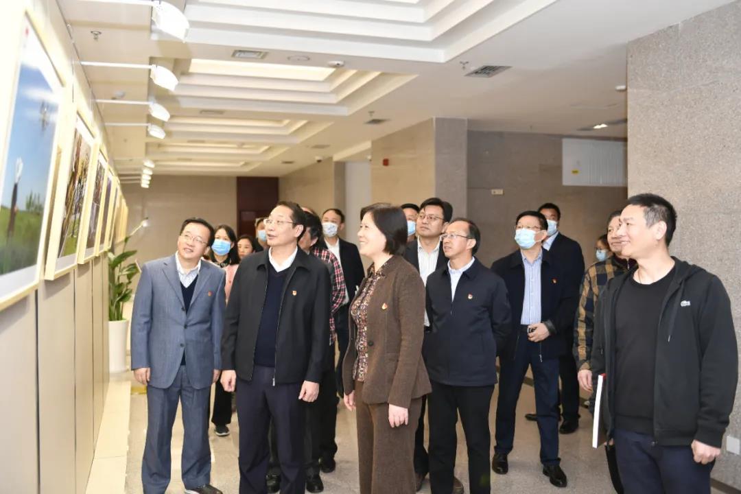 “庆祝建党一百周年 百家艺术档案展览” 在合肥开幕(图9) “庆祝建党一百周年 百家艺术档案展览” 在合肥开幕(图9)