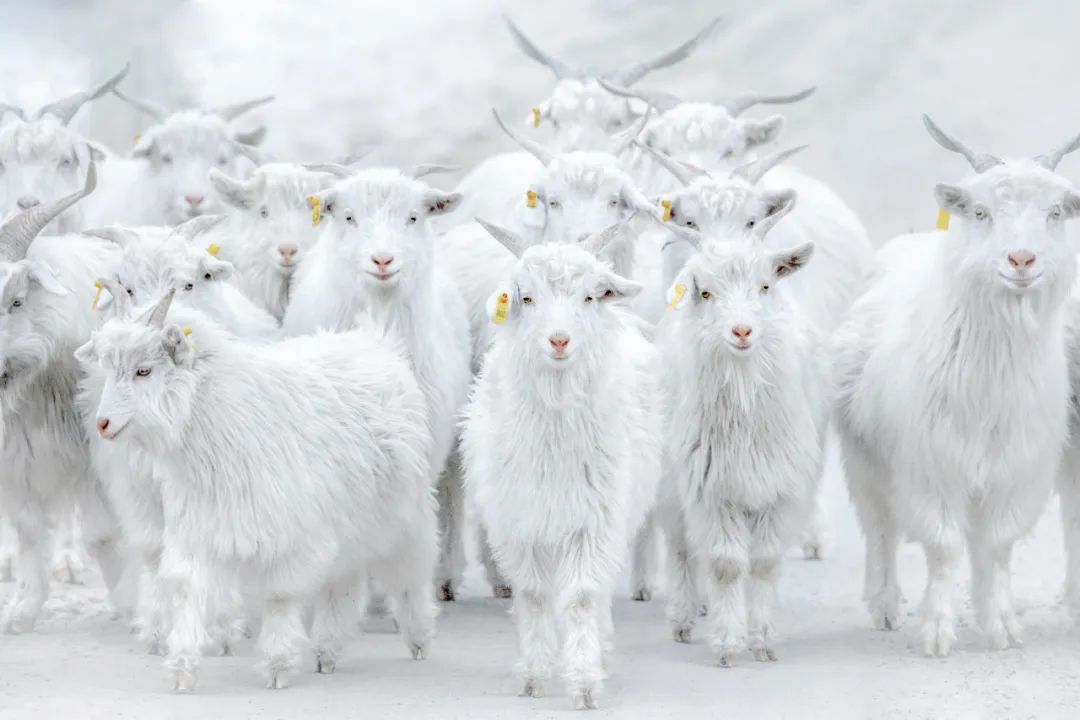 “庆祝建党一百周年 百家艺术档案展览” 在合肥开幕(图38) 图片