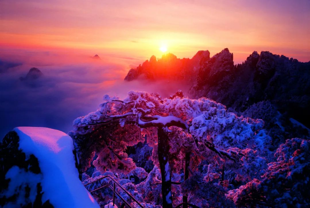 “庆祝建党一百周年 百家艺术档案展览” 在合肥开幕(图40) 图片