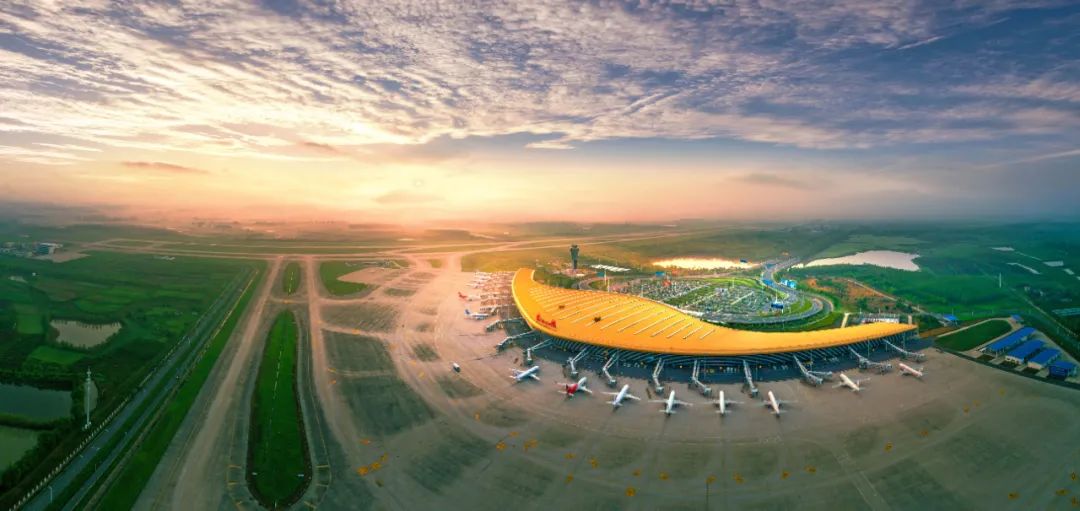 “庆祝建党一百周年 百家艺术档案展览” 在合肥开幕(图41) 图片