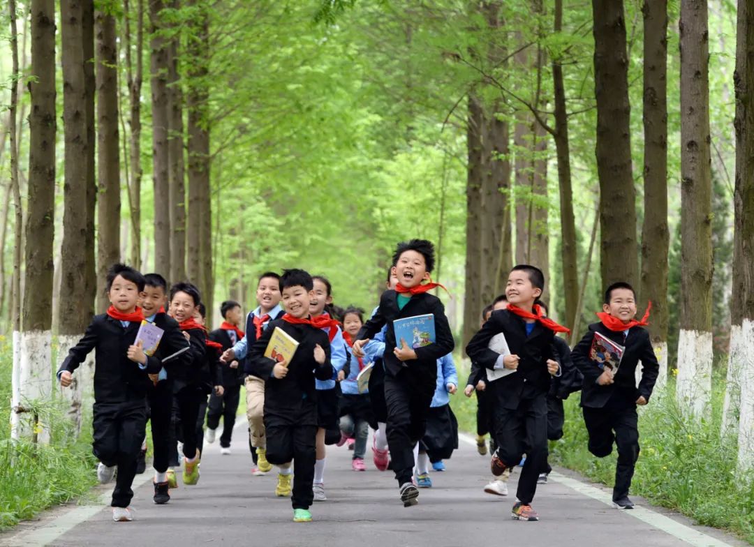 “庆祝建党一百周年 百家艺术档案展览” 在合肥开幕(图48) 图片