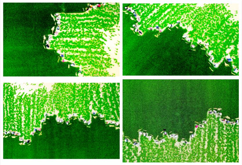 “庆祝建党一百周年 百家艺术档案展览” 在合肥开幕(图45) “庆祝建党一百周年 百家艺术档案展览” 在合肥开幕(图45)