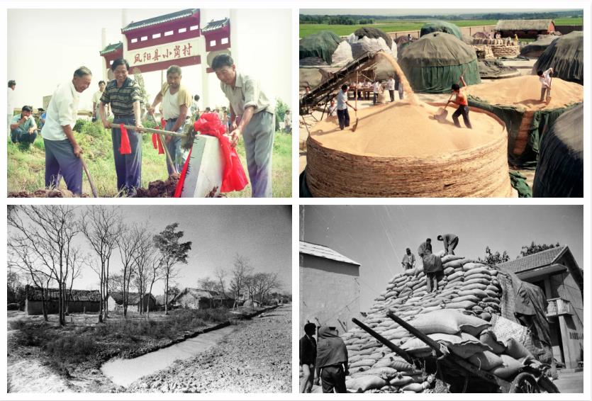 “庆祝建党一百周年 百家艺术档案展览” 在合肥开幕(图52) “庆祝建党一百周年 百家艺术档案展览” 在合肥开幕(图52)