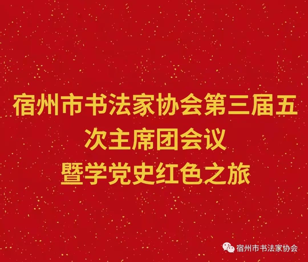 宿州市书法家协会开展“书法心向党”红色教育活动(图10)
