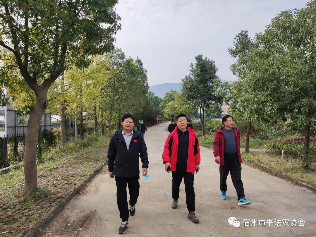 宿州市书法家协会开展“书法心向党”红色教育活动(图4)